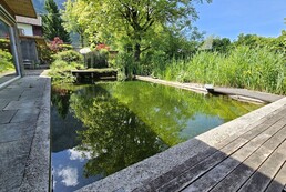 Poolteich
